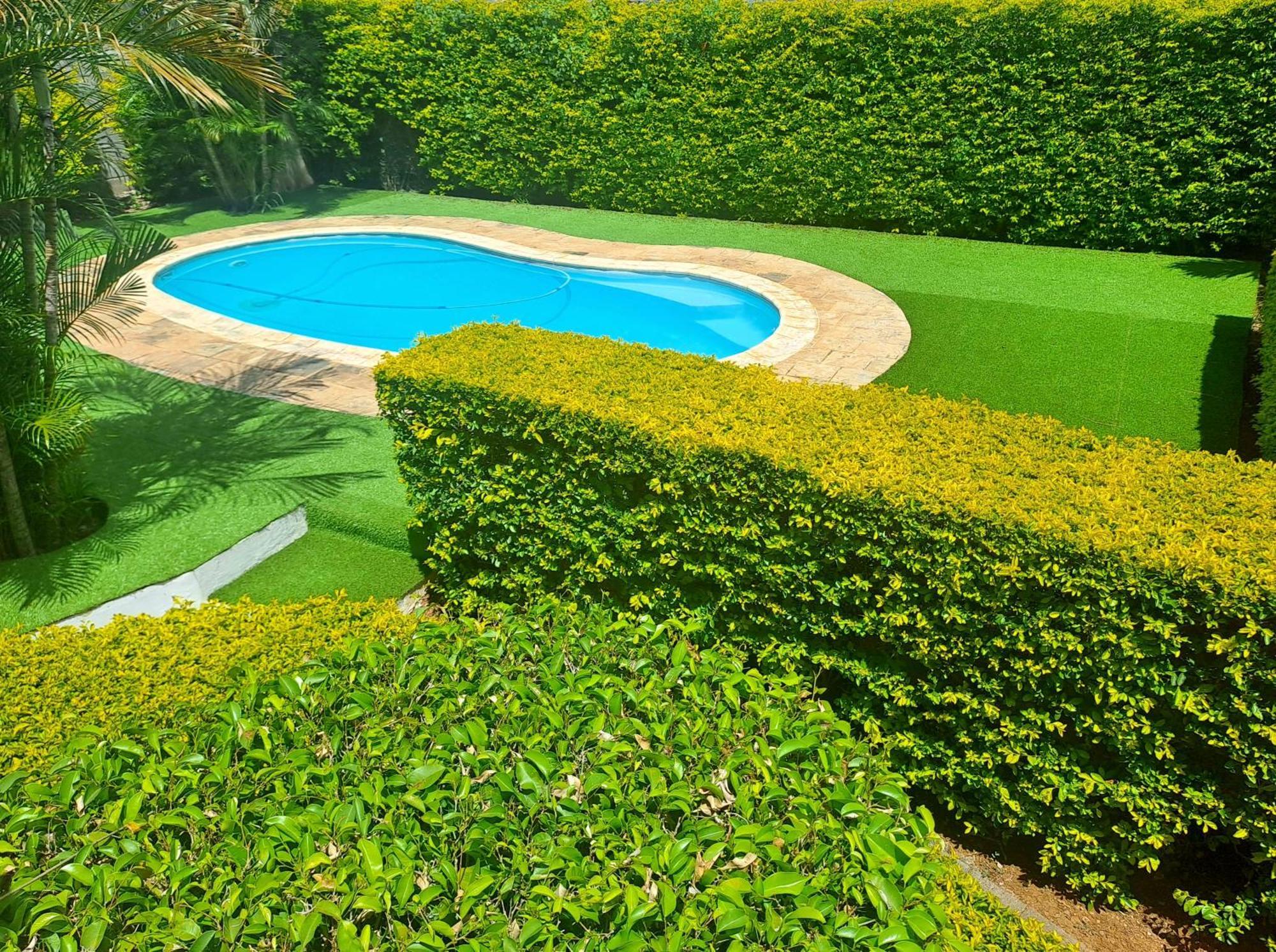 אלביון Appartement Paisible Avec Jardin & Piscine מראה חיצוני תמונה